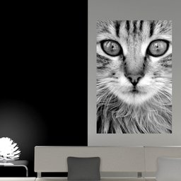 Painel Adesivo de Parede - Gato - 091png - 1 Painel Adesivo de Parede - Gato - 091png - 1