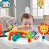 Baby Gear Cadeirinha para Bebês Pula-pula Floresta - Hjc37 - Fisher-price - 5