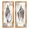 Kit 2 Quadros Conchas Praia - Mel - 1