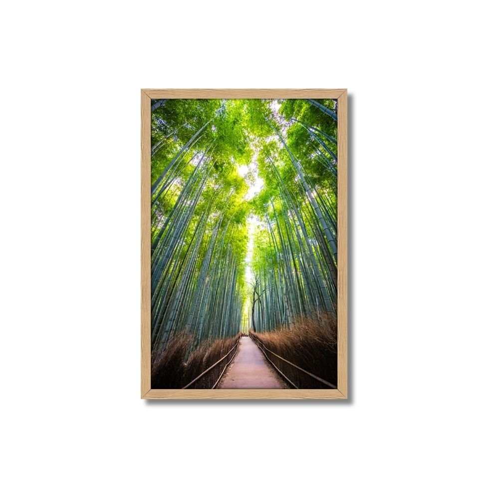 Quadro Decorativo Árvore Bambu: Mod. 0363 Collor-ink Mod.0363 50 X 75cm Marrom - 1