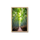 Ver imagem 1 de Quadro Decorativo Árvore Bambu: Mod. 0363 Collor-ink Mod.0363 50 X 75cm Marrom