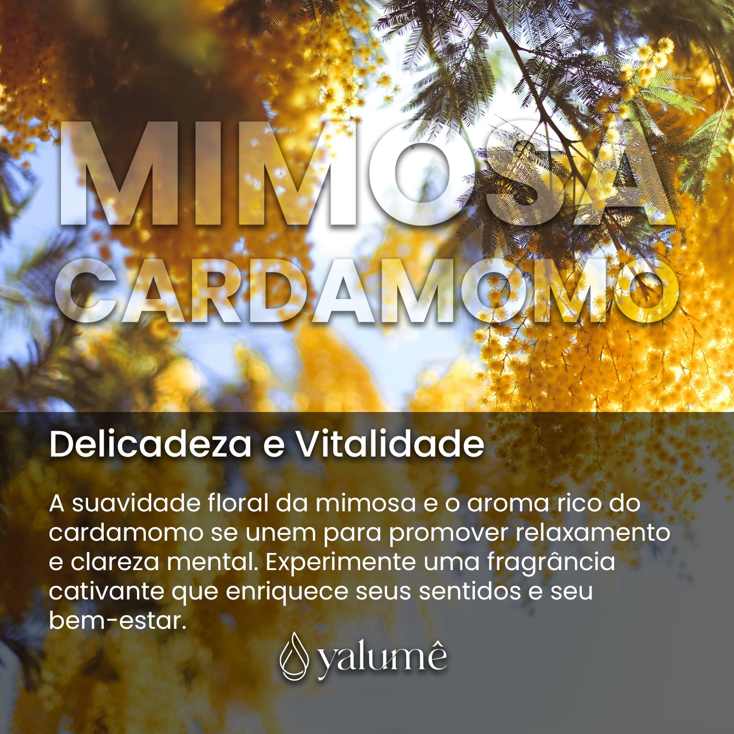 Home Spray Mimosa e cardamomo 300ml - Yalumê  - Aromatizador de Ambiente Spray, Perfume para casa - 3