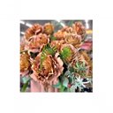 Ver imagem 5 de Buquê Peônia e Rosas Pêssego Fosco 5 Flores 40cm