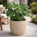 Ver imagem 4 de Vaso para Plantas 32cm Inca Tramontina Plástico Reciclável Cachepô Flores Folhagens Granito Areia