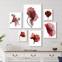 Ver imagem 1 de Composição 6 Quadros Decorativos Flores Vinho Marrom Marsala - com Vidro:madeira Preta