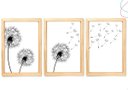 Ver imagem 1 de 3 Quadros Decoração Dente de Leão Flor Minimalista C Moldura:pinus