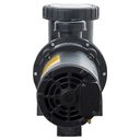 Ver imagem 3 de Bomba de Piscina Jacuzzi 7A-M - 3/4 CV - 110/220V (mono)