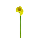 Ver imagem 1 de Flor Artificial Haste Calla Amarela 63cm para Vaso e Arranjo Decorativo