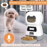 Comedouro Automatico Raçao Gato Cachorro Pet Cao Comida Programavel Alimentaçao Programada Viagem Pa - 5