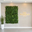 Ver imagem 7 de 20 Painéis Jardim Vertical Artificial Samambaia Eucalipto (60x40) Parede Verde Fácil de Instalar