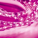 Ver imagem 1 de Fita Led Taschibra 5w/m Ip67 220v Alta Proteção Cores Metro Rosa