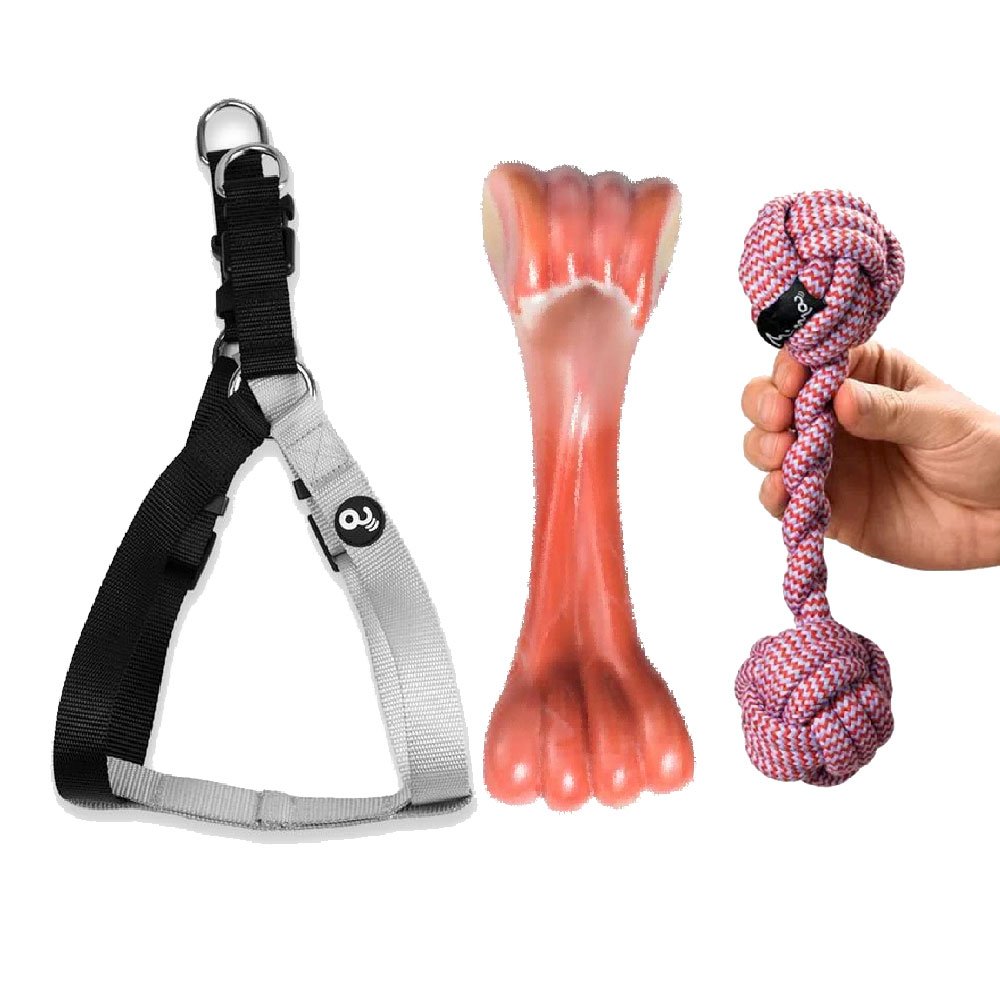 Is Step 2 Harder Than Step 1 Kit Pet Mordedor Corda+ Peitoral Triple Step+ Osso de Nylon