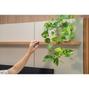 Ver imagem 7 de Home Rack Painel p/ TV 75 pol Ravenna 180cm Canela/White Linea