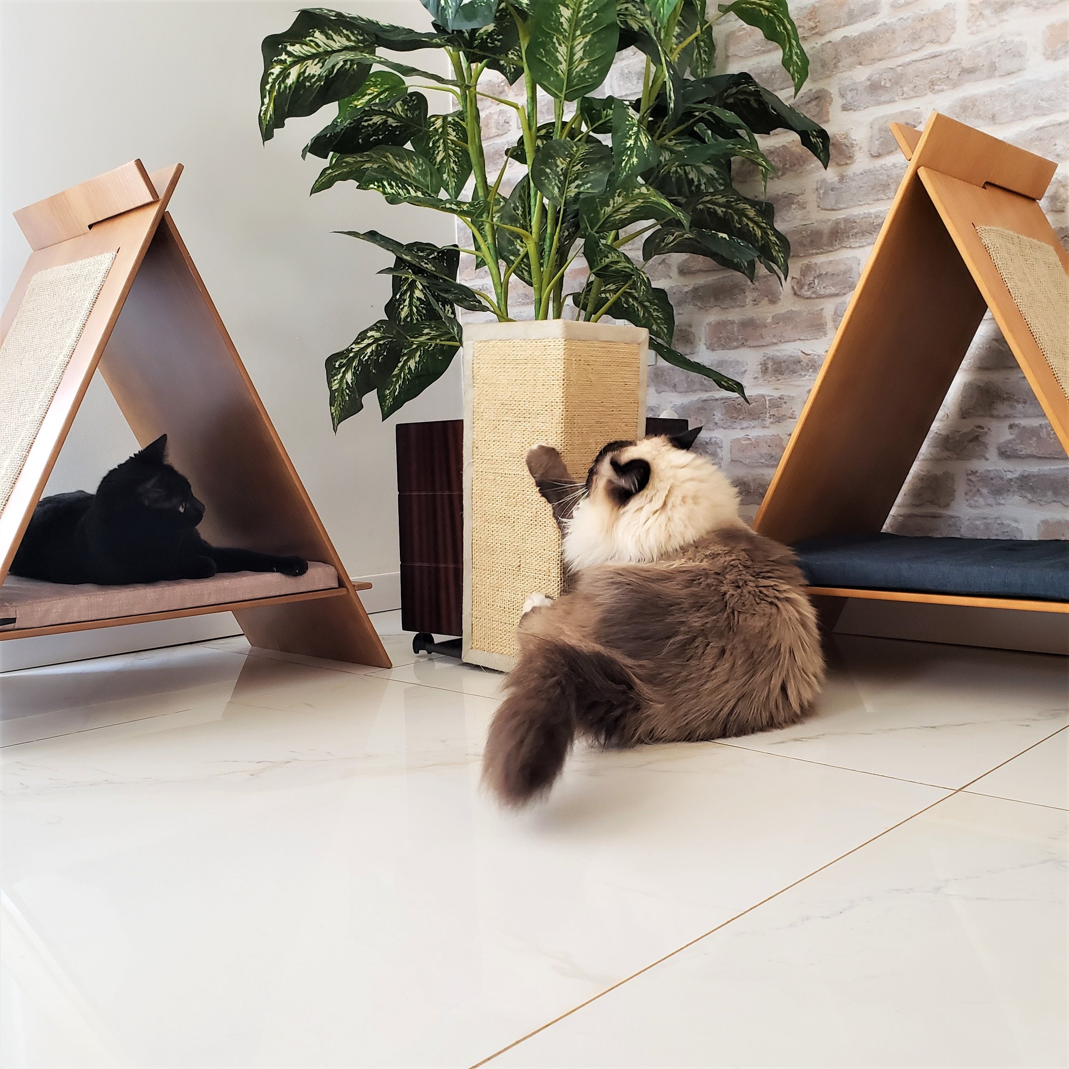 Casa de Gato em Madeira com Arranhador Luxo Média - Imbuia Bege - 4