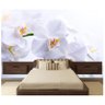 Papel De Parede Flores Fosco Natureza Orquidea Branca 40 - 2