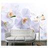 Papel De Parede Flores Fosco Natureza Orquidea Branca 40 - 1