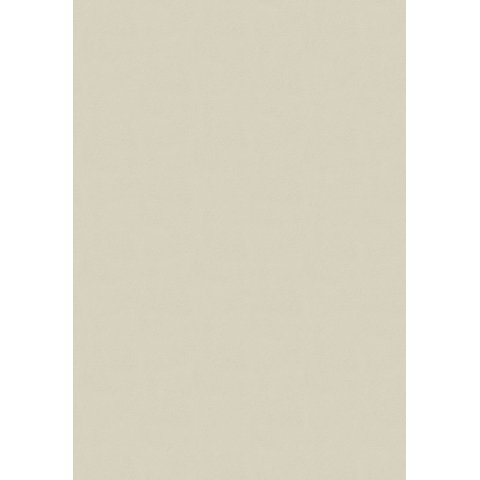 Papel de Parede Flora Botânica Tropical Chic 84582