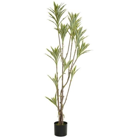 Planta Artificial Arvore Dracena Reflexa C/pote X130 Verde Creme 1,66cm