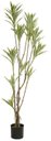 Ver imagem 1 de Planta Artificial Arvore Dracena Reflexa C/pote X130 Verde Creme 1,66cm
