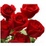 Papel De Parede Flores Gg 7,30m² Adesivo Rosas Vermelhas 61 - 4