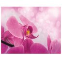Ver imagem 2 de Adesivo Flores Papel De Parede Orquidea Sala 7,3m² Flor 22