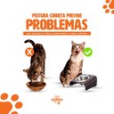 Ver imagem 7 de Comedouro Elevado Inclinado Duplo Gato Preto