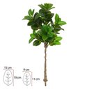 Ver imagem 2 de Árvore Ficus Elastica Real Toque Verde 1,5m | Formosinha