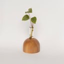 Ver imagem 2 de Vaso Balle Redondo