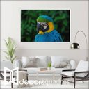 Ver imagem 1 de Quadro Arara 60x40 Cm Tecido Canvas