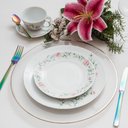 Ver imagem 7 de Jogo de Jantar 60 Peças Chá Café Tereza Porcelana Schmidt