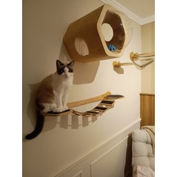 Cama para Gatos - 8