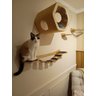 Cama para Gatos - 8