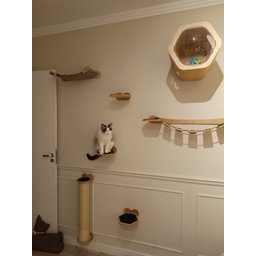 Cama para Gatos - 9