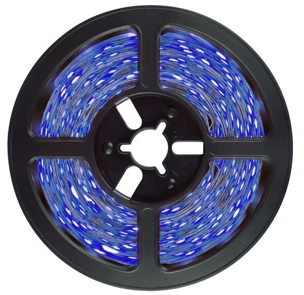 Fita LED 2835 Azul 5 Metros 300 Leds 12V Ip20 sem Silicone