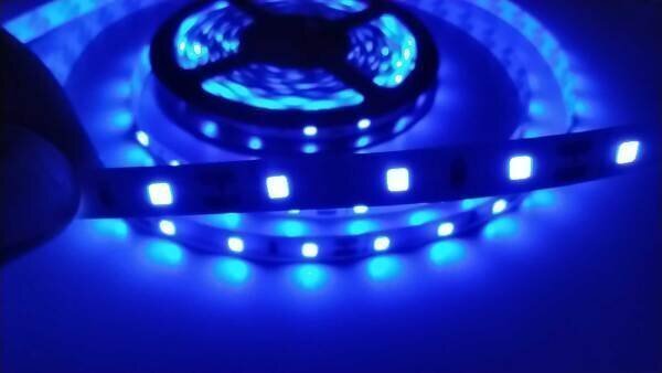 Fita LED 2835 Azul 5 Metros 300 Leds 12V Ip20 sem Silicone - 4