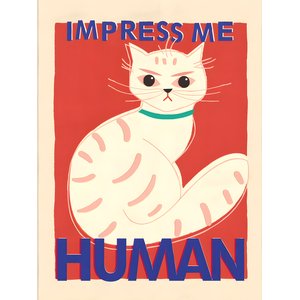 Quadro Decorativo Quarto Gato Moderno Criativo