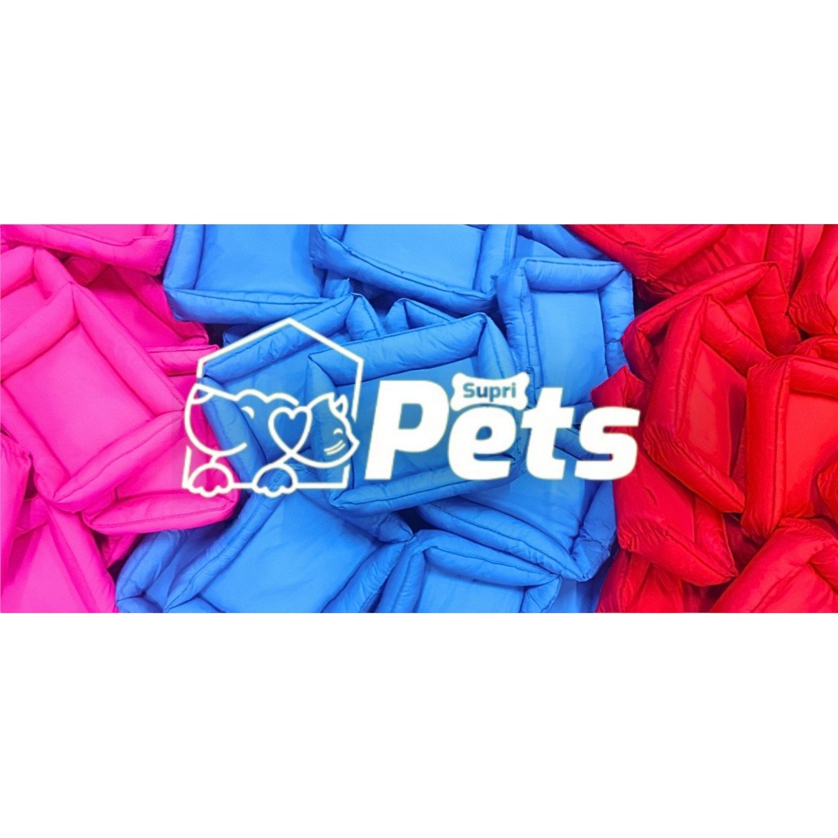 Casinha Cristino Tam. N2 Pet Cachorros Cães Casa Plástico Resistente - Azul - 11