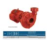 Bomba Schneider para Incêndio Bpi-21 R 2 1/2" 5cv Trifásico 4 Voltagens 145 Vermelho 4v (t) - 3