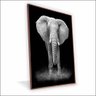 Quadro Elefante Canvas sem Vidro Tamanho-moldura 40x30 Caixa Cor Madeira - 1