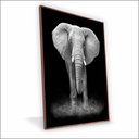 Ver imagem 1 de Quadro Elefante Canvas sem Vidro Tamanho-moldura 40x30 Caixa Cor Madeira