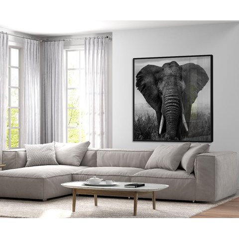 Quadro Decorativo 120x120 Elefante Preto e Branco Vidro