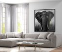 Ver imagem 1 de Quadro Decorativo 120x120 Elefante Preto e Branco Vidro