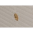 Ver imagem 4 de Cama Box Baú Casal: Colchão Molas Superpocket Ensacadas Ortobom Hotelaria Nanolastic Orthotel