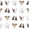Papel De Parede Animais Cachorro Pet Divertido 10m - 1