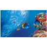 Adesivo Peixe Aquário Decoração Painel Fundo Do Mar J 271 - 1