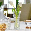 Ver imagem 3 de Kit 2 Vasos Bubble de Vidro 7x17cm para Flor Planta Decorativo Lyor Redondo Incolor