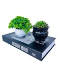 Ver imagem 1 de Decoração Sala Livro Fake + Dupla Vaso Branco/preto Decor