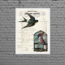 Ver imagem 1 de Quadro Pássaro Com Gaiola Vintage 45x34cm - com vidro:Madeira preta