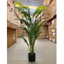 Ver imagem 5 de Planta Artificial Palmeira Real Toque para Decoração Com1.20m, Planta Decorativa para Casa e Eventos