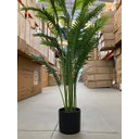 Ver imagem 3 de Planta Artificial Palmeira Real Toque para Decoração Com1.20m, Planta Decorativa para Casa e Eventos